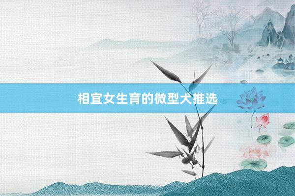 相宜女生育的微型犬推选