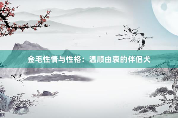 金毛性情与性格：温顺由衷的伴侣犬