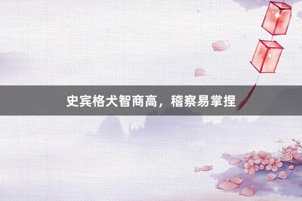 史宾格犬智商高，稽察易掌捏