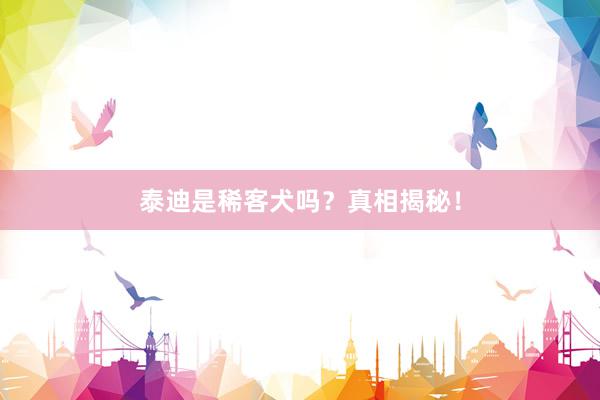 泰迪是稀客犬吗？真相揭秘！