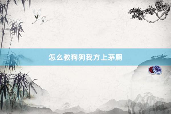 怎么教狗狗我方上茅厕