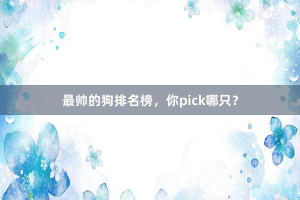 最帅的狗排名榜，你pick哪只？
